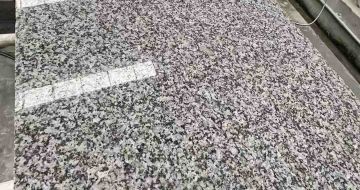 大同 芙蓉白光面