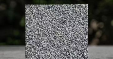 大同 芝麻黑荔枝面