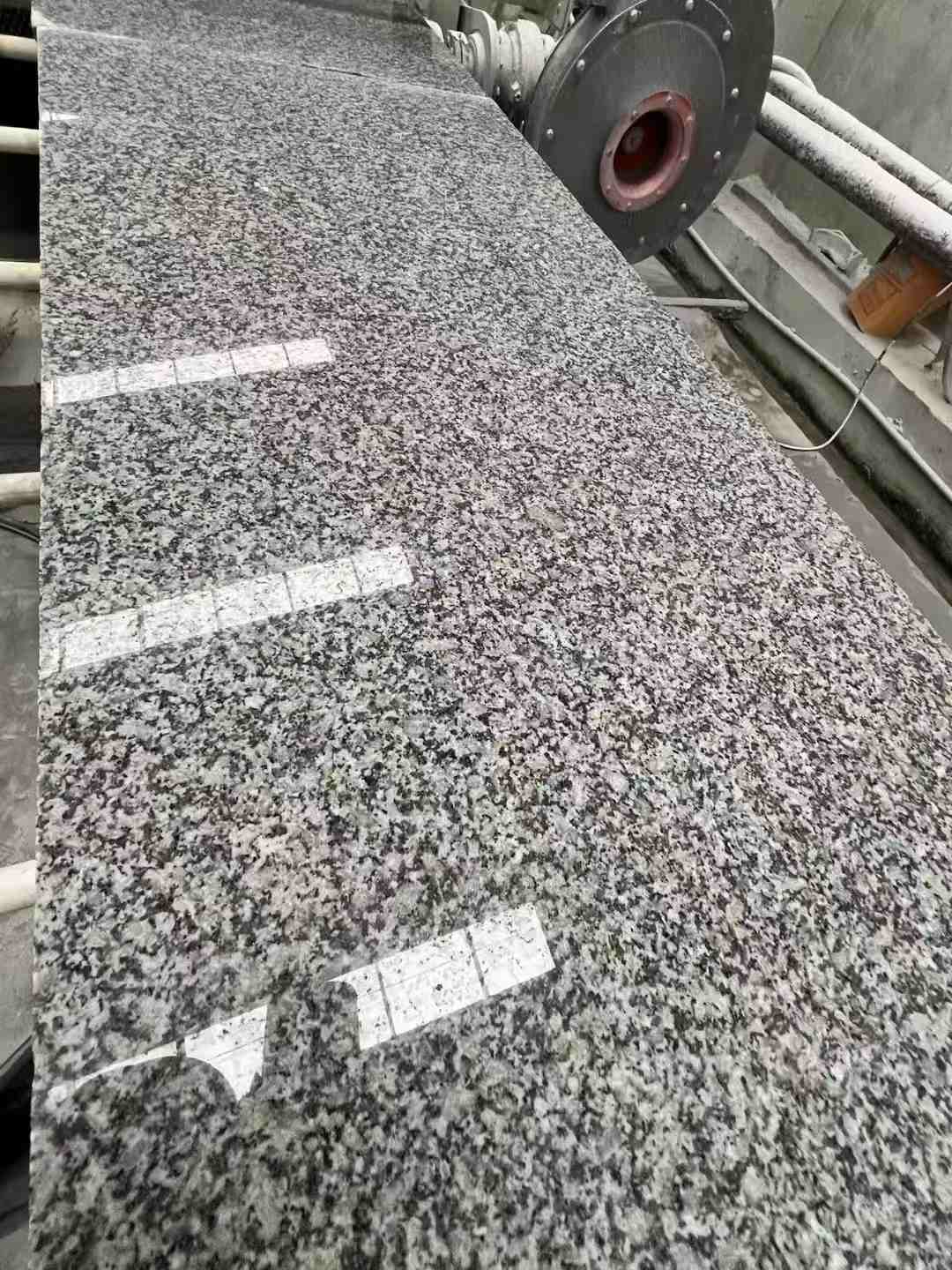 大同 芙蓉白光面