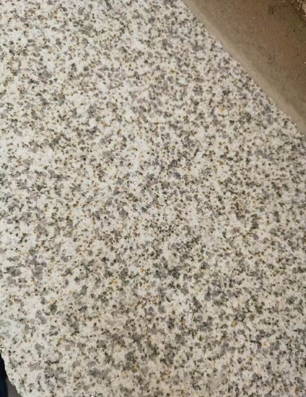 大同 黄金麻中黄光面