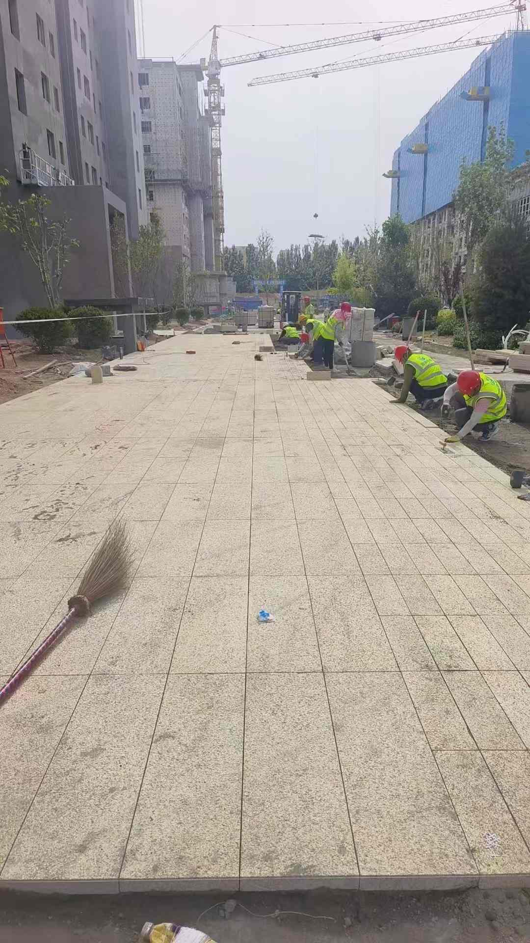大同黄金麻荔枝面地铺案例