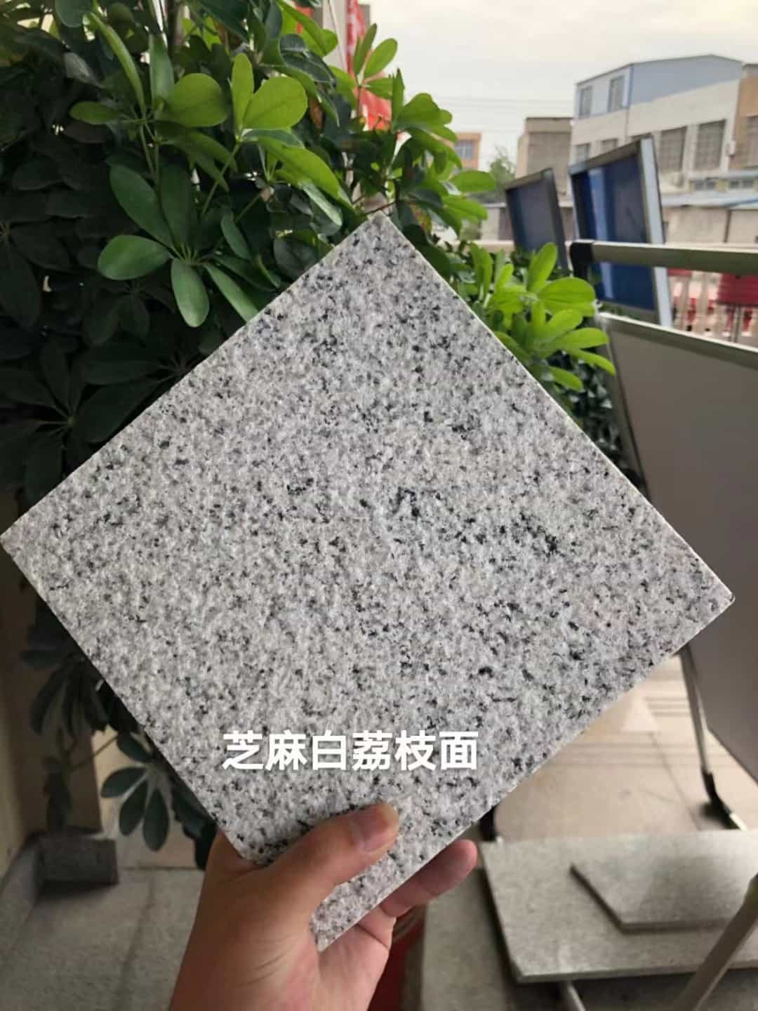 大同 芝麻白荔枝面干挂